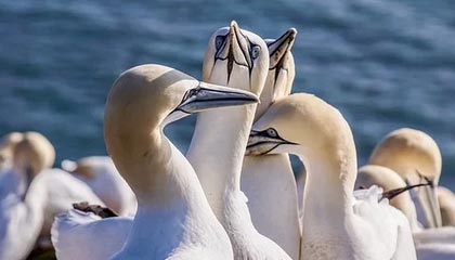 B体育下载-朱婷助球队拿下关键战女排世界杯，朱婷女排吧 朱婷个站