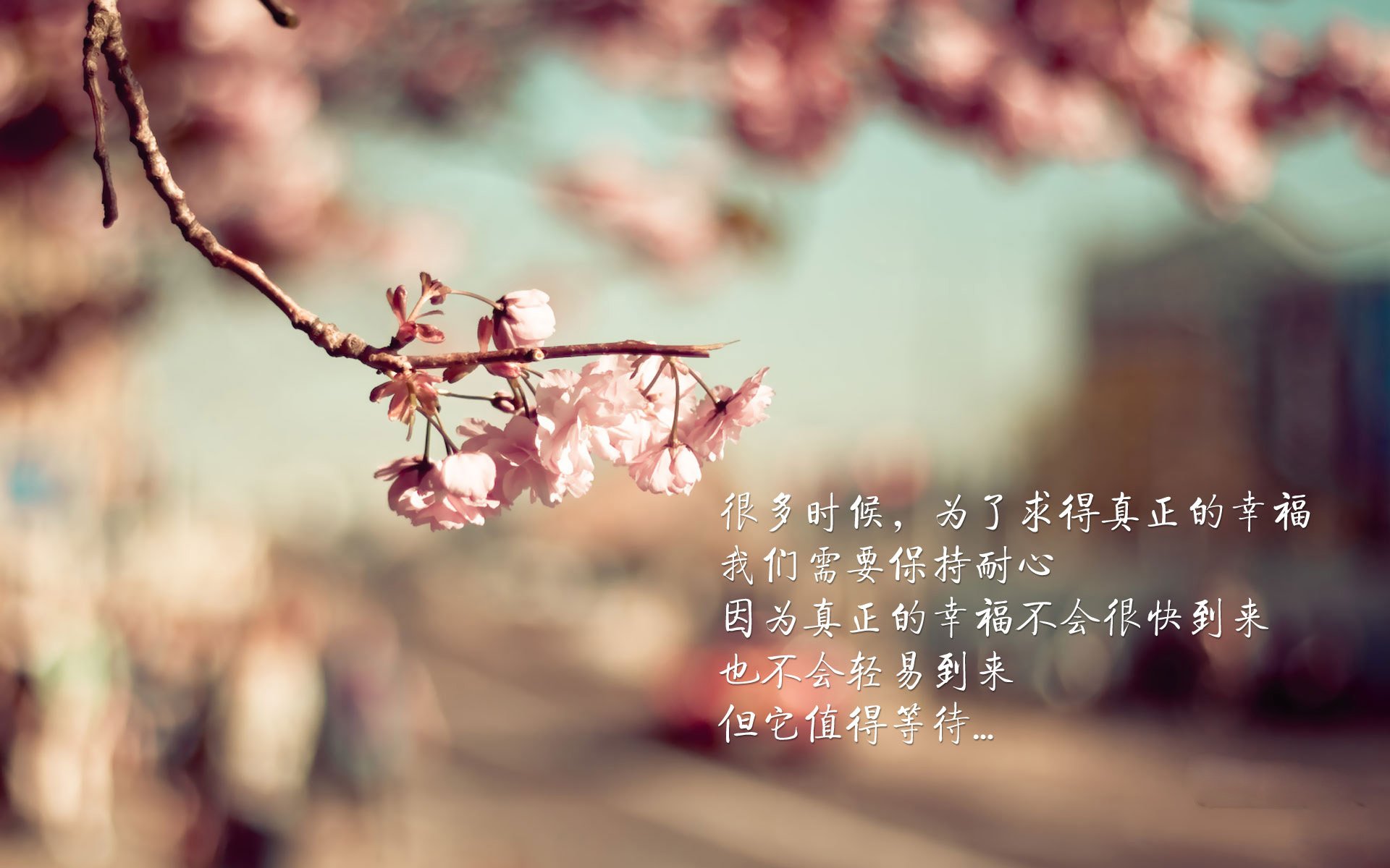 【道奇队的打击火力】全队合力轰出20+全垒打，道奇队主力