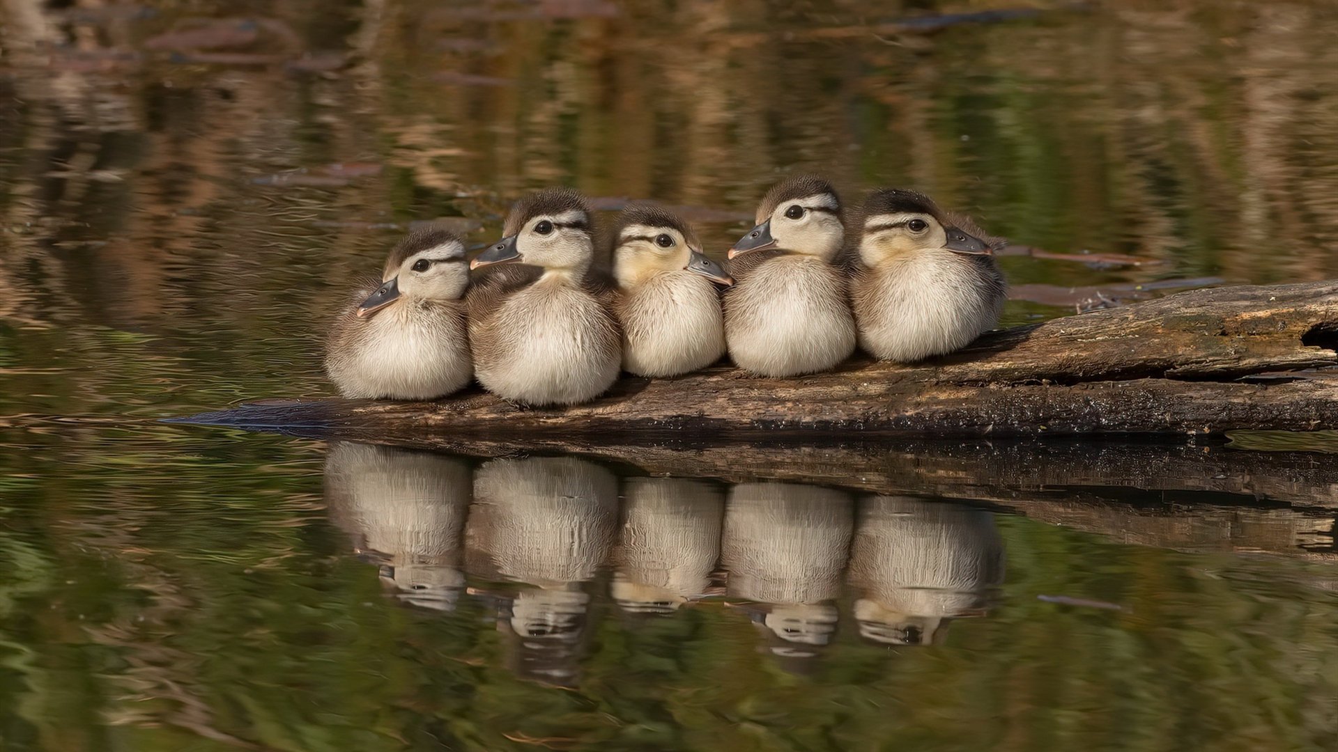 技术雷达图显示动作一致性增强,雷达动态范围是什么意思