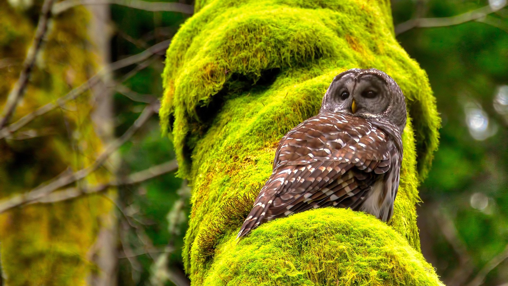 比赛前联合媒体开展公开训练日增强球队透明度与外界互动,比赛前一周怎么训练