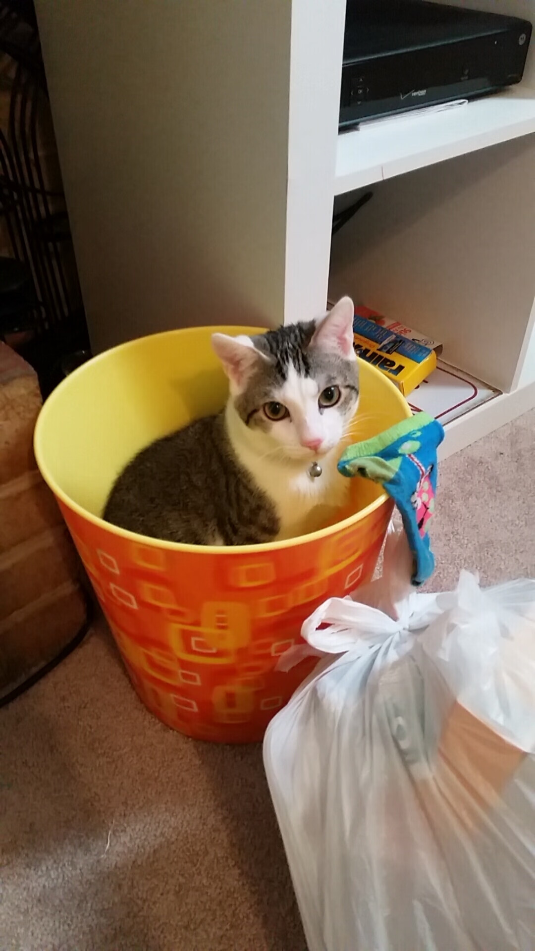 b体育在线平台-篮球全明星阵容投票平台上线引发热潮，篮球全明星赛规则