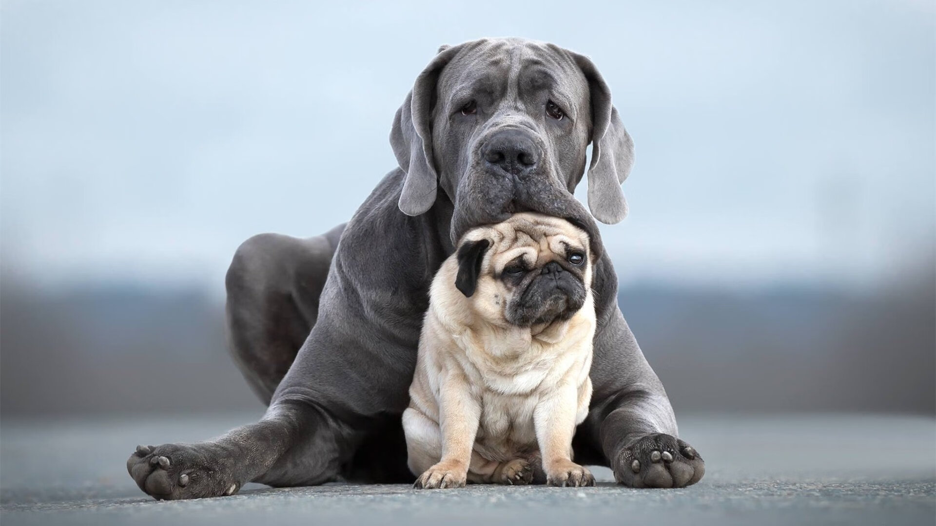 b体育入口-职业联赛通过公益足球活动提升社会责任感形象，公益足球培训