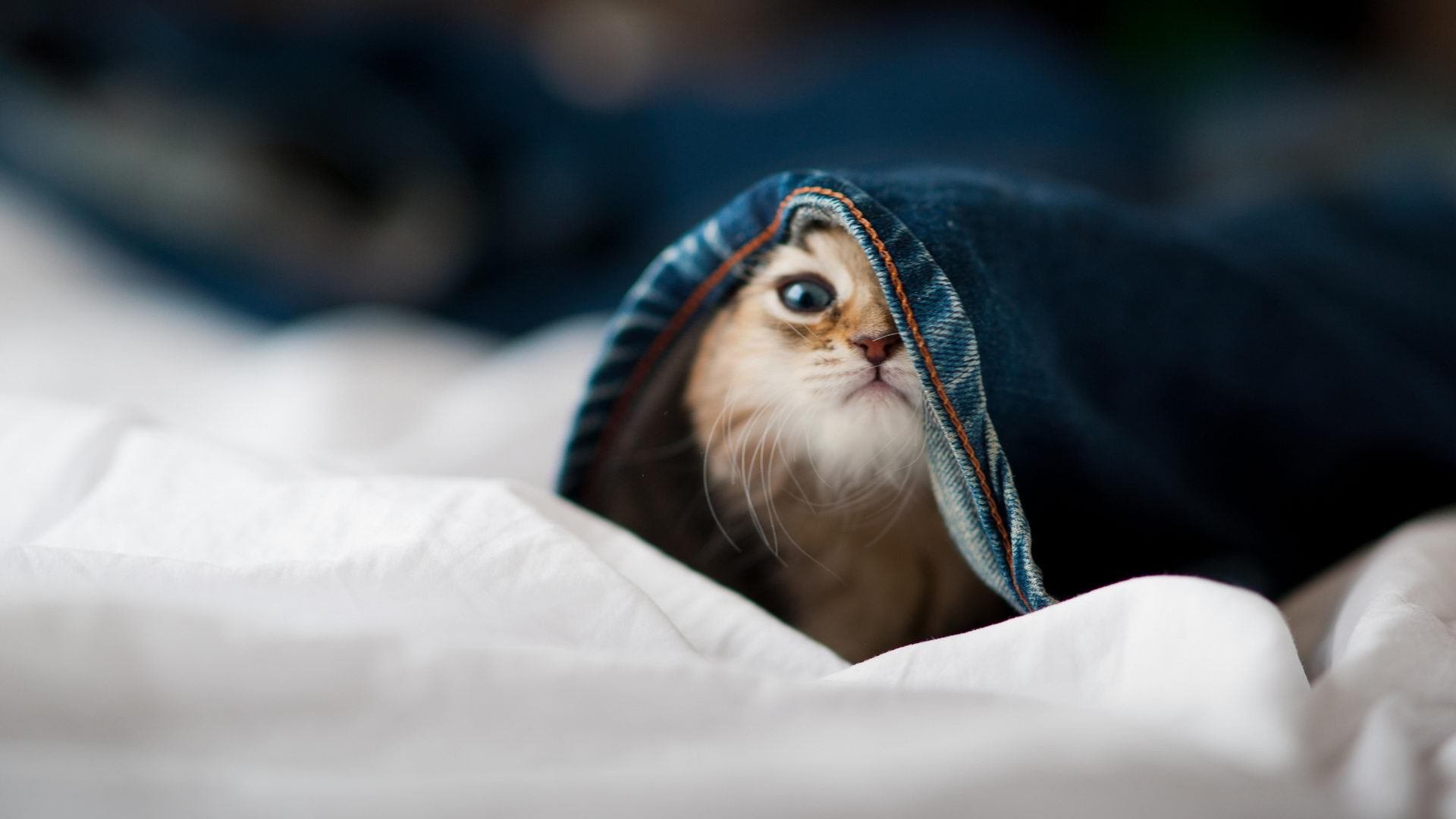 训练课安排分层管理根据球员状态制定差异化目标保持科学节奏,依据不同,训练课分类通常有