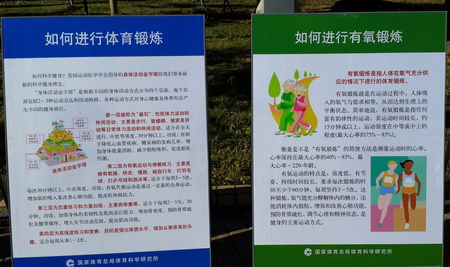 关于B体育官方网址：篮球运动科学：如何避免运动损伤，延长职业生涯？的信息