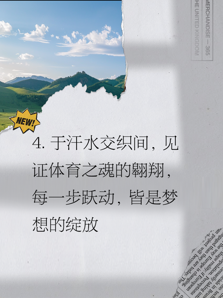 B体育：超越成绩：运动员的精神与价值观的简单介绍